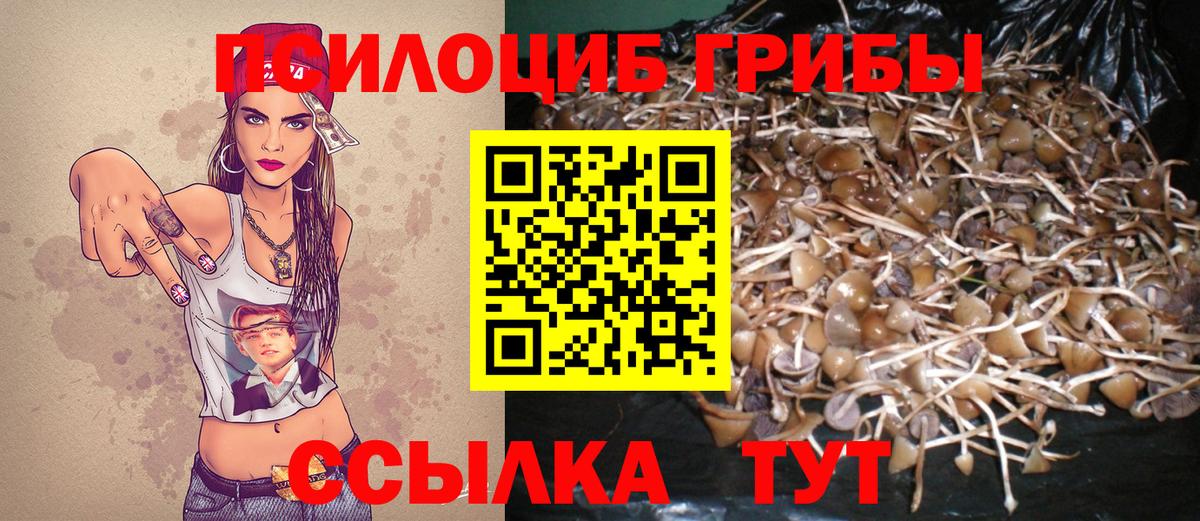 Псилоцибиновые грибы Magic Shrooms Ухта