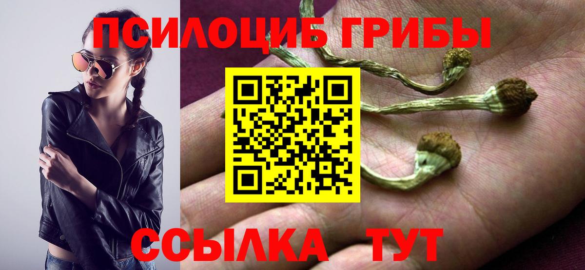 Псилоцибиновые грибы прущие грибы  Вход с VPN  Ухта  магазин  наркотиков  Псилоцибиновые грибы Cubensis 